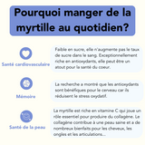 Myrtille sauvage