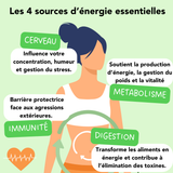 Coffret 4 Essentiels